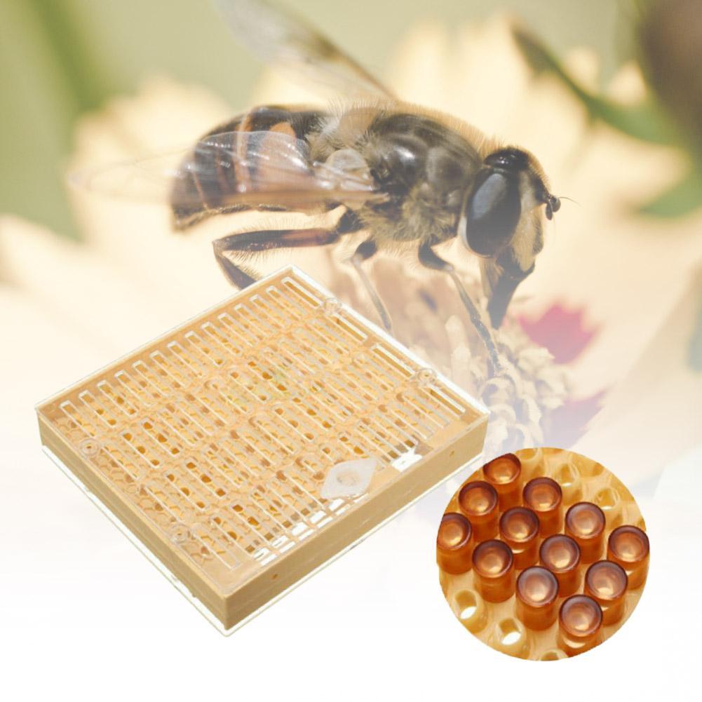 131pcs Bee Queen Rearing Cupkit Box System Beekeeping Cage Z4R0 Kit Cell B3C2