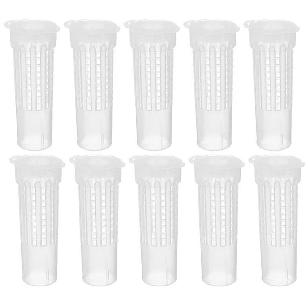 131pcs Bee Queen Rearing Cupkit Box System Beekeeping Cage Z4R0 Kit Cell B3C2
