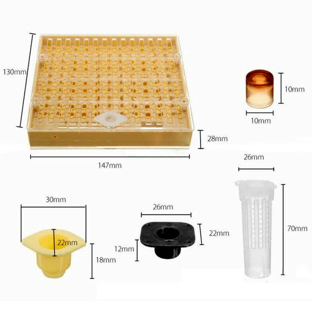 131pcs Bee Queen Rearing Cupkit Box System Beekeeping Cage Z4R0 Kit Cell B3C2