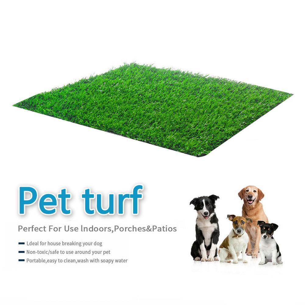 potty turf