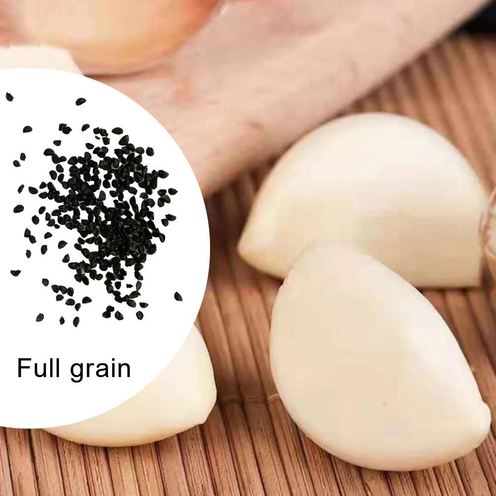 200Pcs Giant Garlic Seeds Heirloom Organic Bulb Seed Home Garden