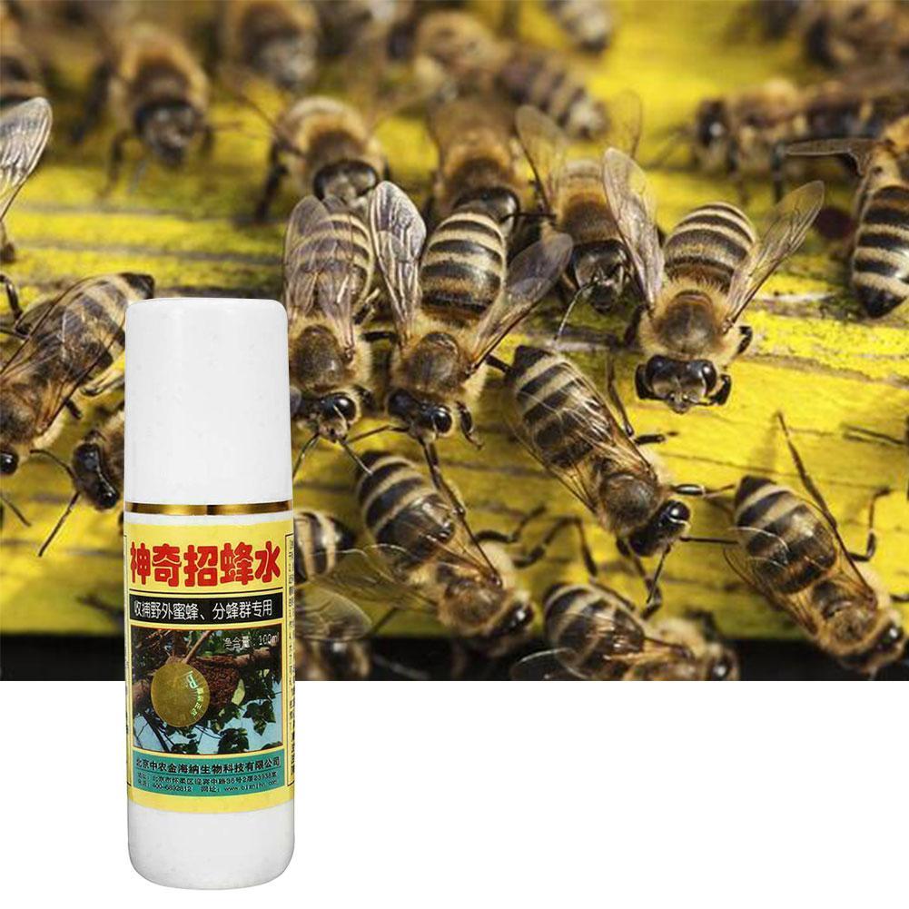Для привлечения пчел. Приманка для пчелиных роев Германия. Приманка для пчел 1080121. The Bee Swarm Trap.