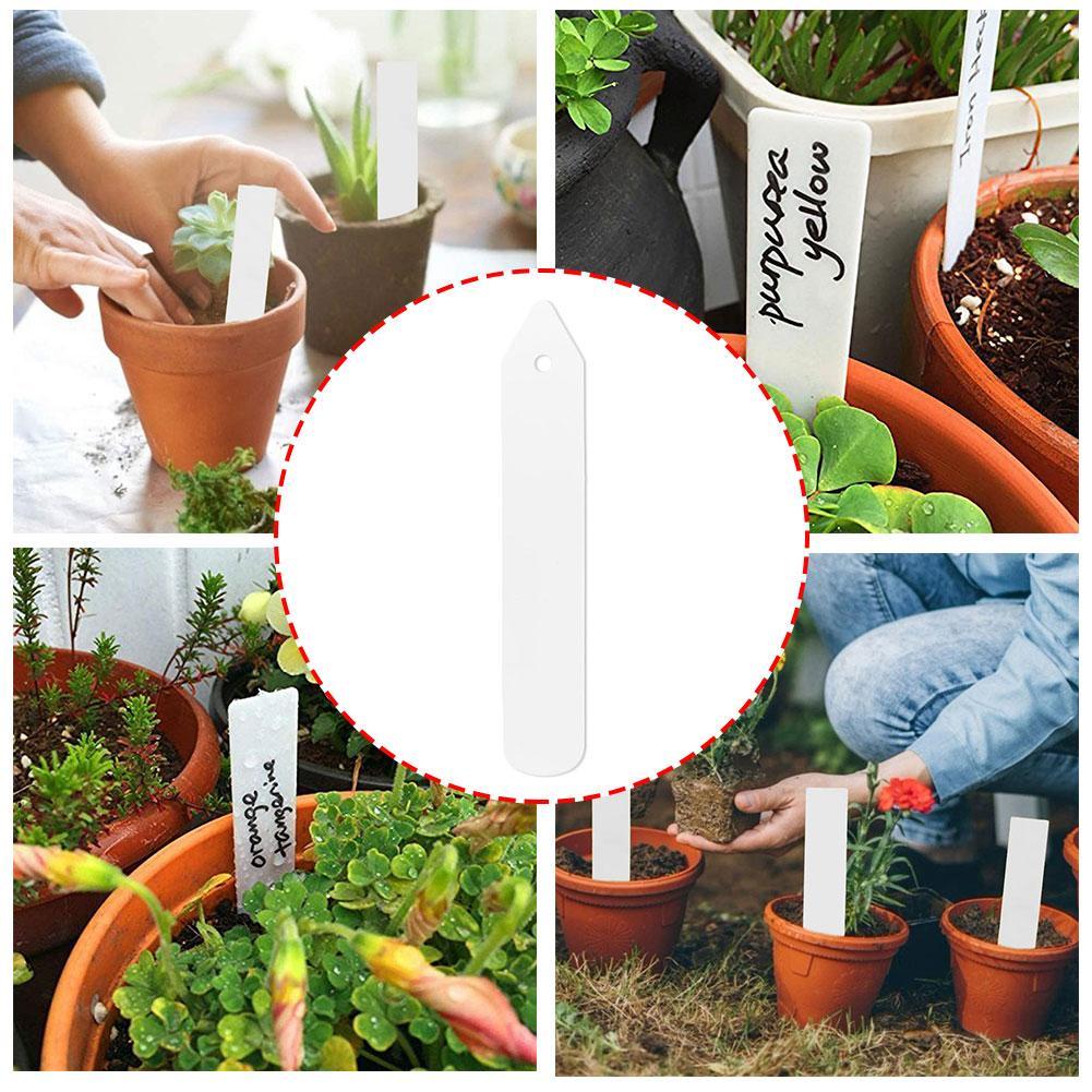 100pcs Plastic Plant Seeds Label / Tags Seed Tray Plants