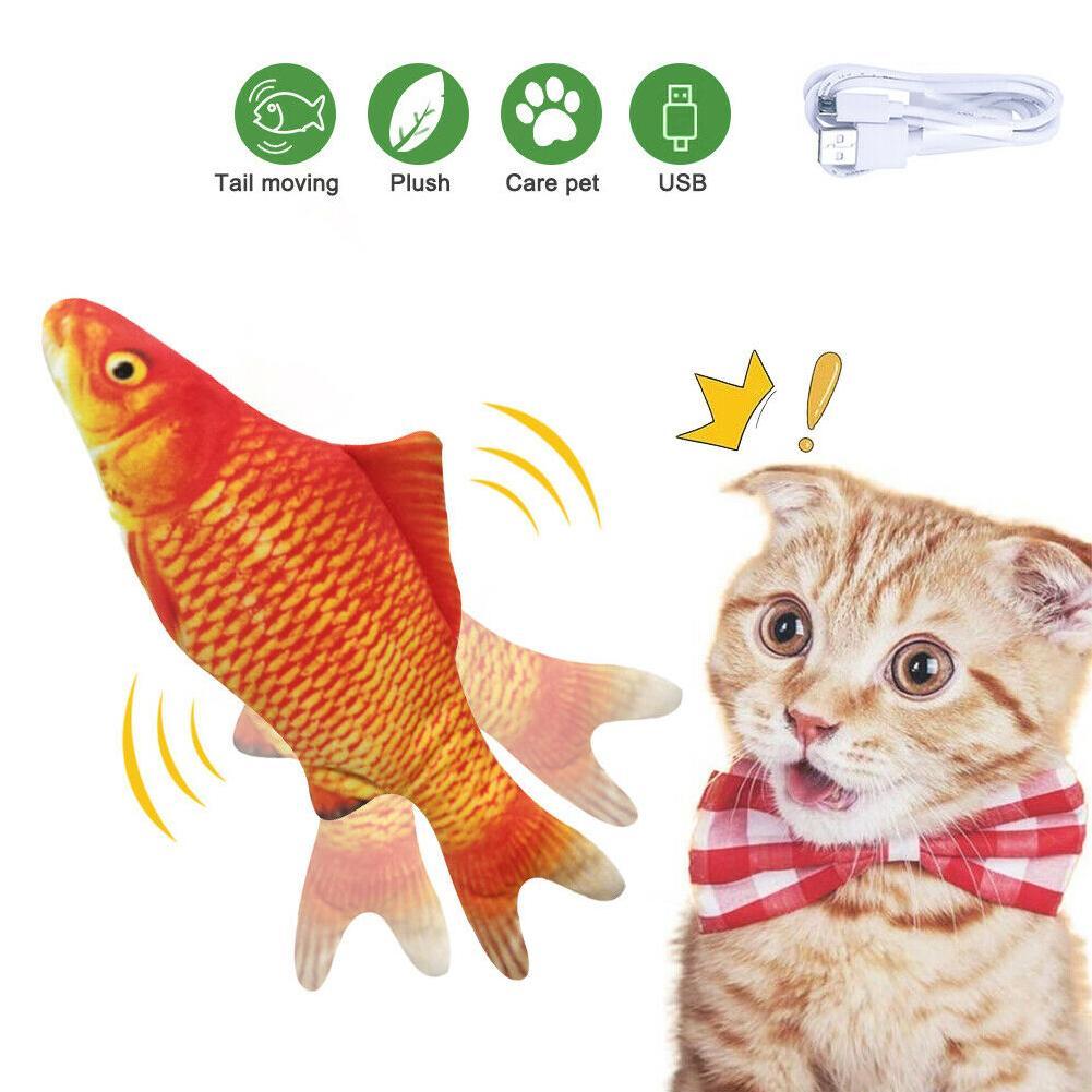 moving fish toy