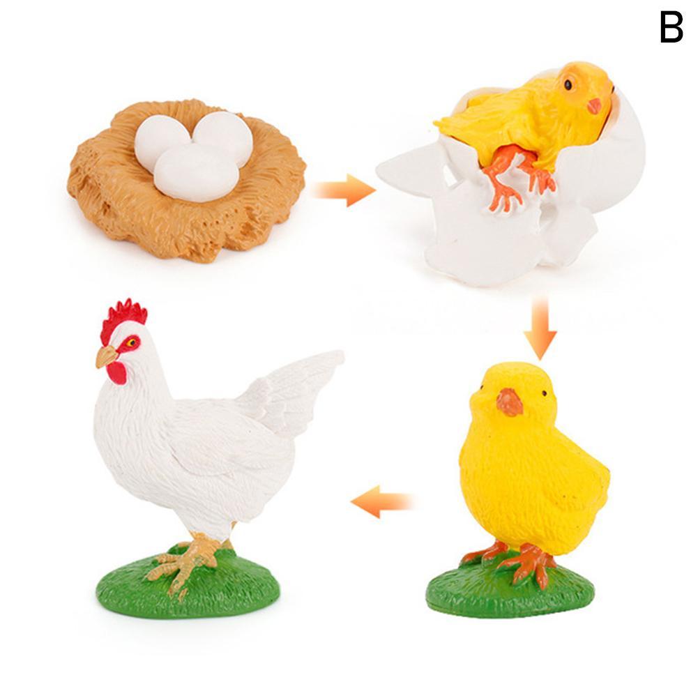 Simulation Animals Life Cycle Animals Growth Cycle Figures Figurines Toys B9H3