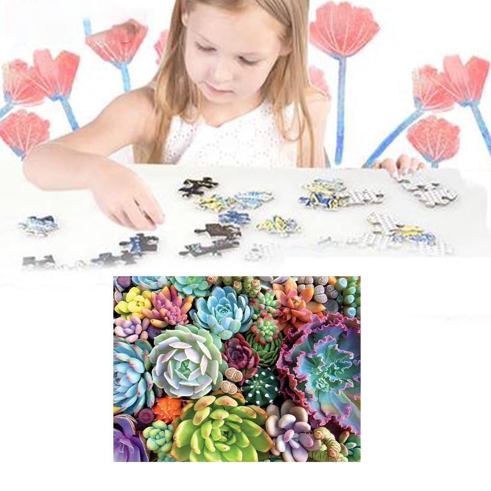 1000 Piece Succulent Spectrum Plants Puzzle Adult Children Holiday Gift Puzzles