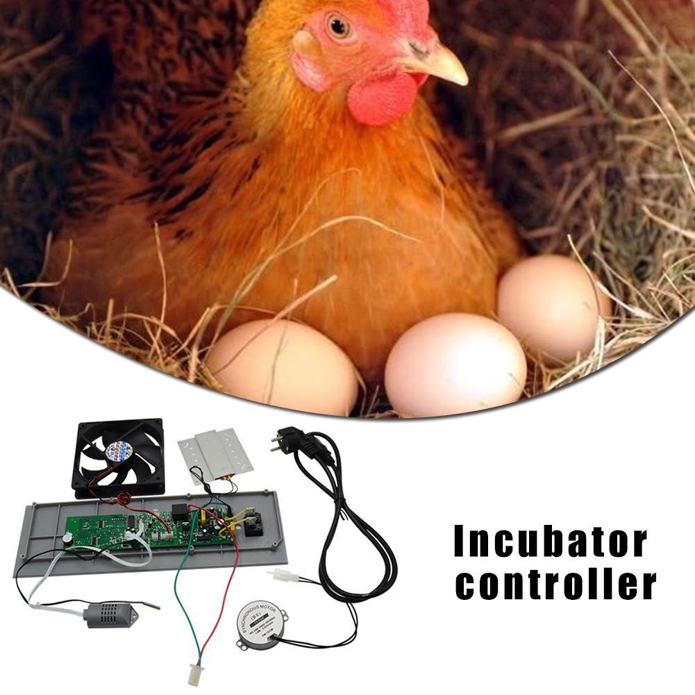 Incubator Controller Set Incubator Spare Parts Auto Egg ...