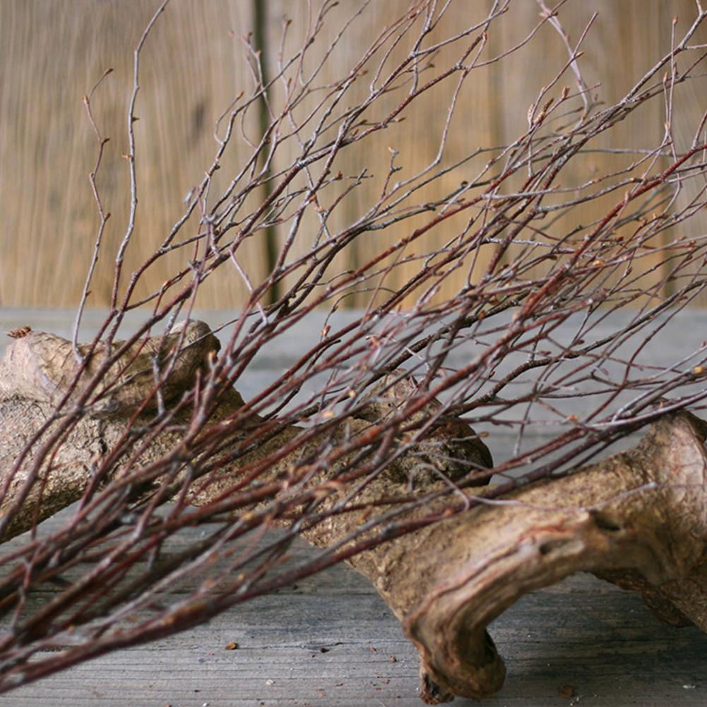 Bundle Natural Birch Twigs Birch Branches Centerpieces Home Decorative G1L5 