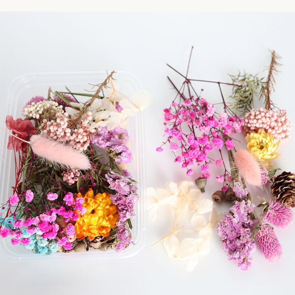 1Box Dried Flowers For Art Craft Epoxy Resin Candle Wedding GiftS Decor LZ01