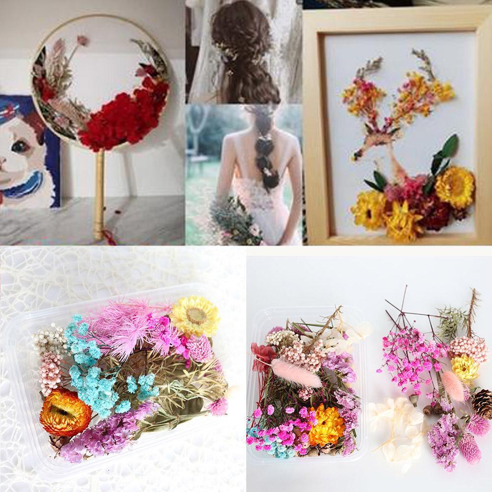 1Box Dried Flowers For Art Craft Epoxy Resin Candle Wedding GiftS Decor LZ01