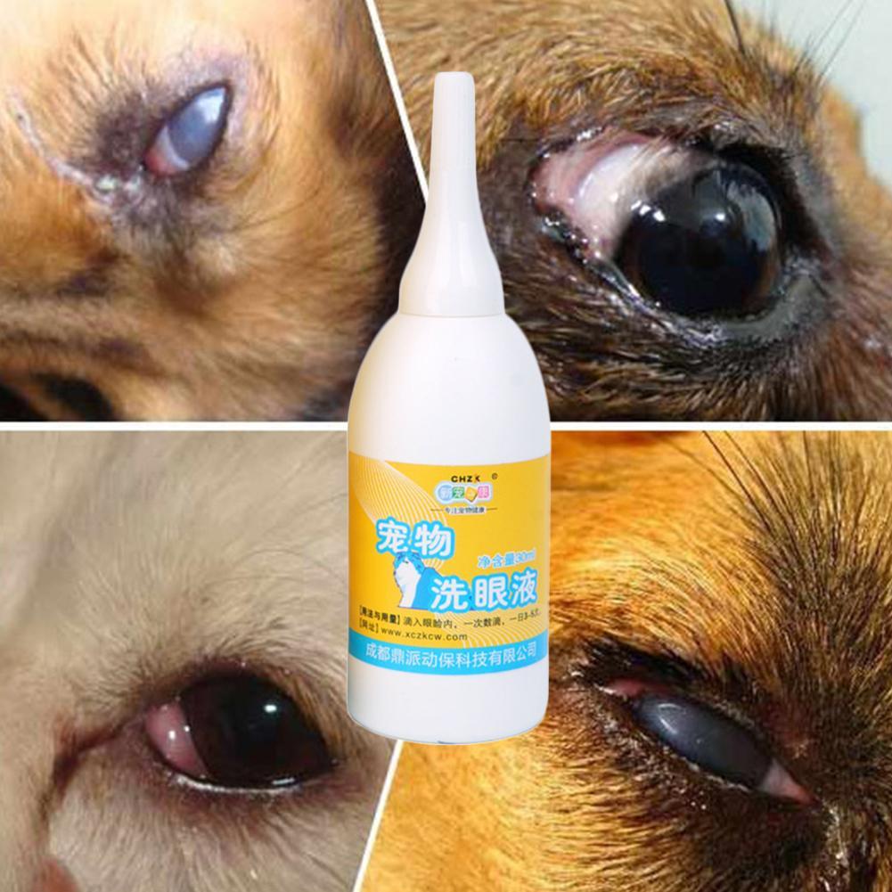 Pet Dog Cat Eye Drops AntiInflammatory Tear Stain Improve