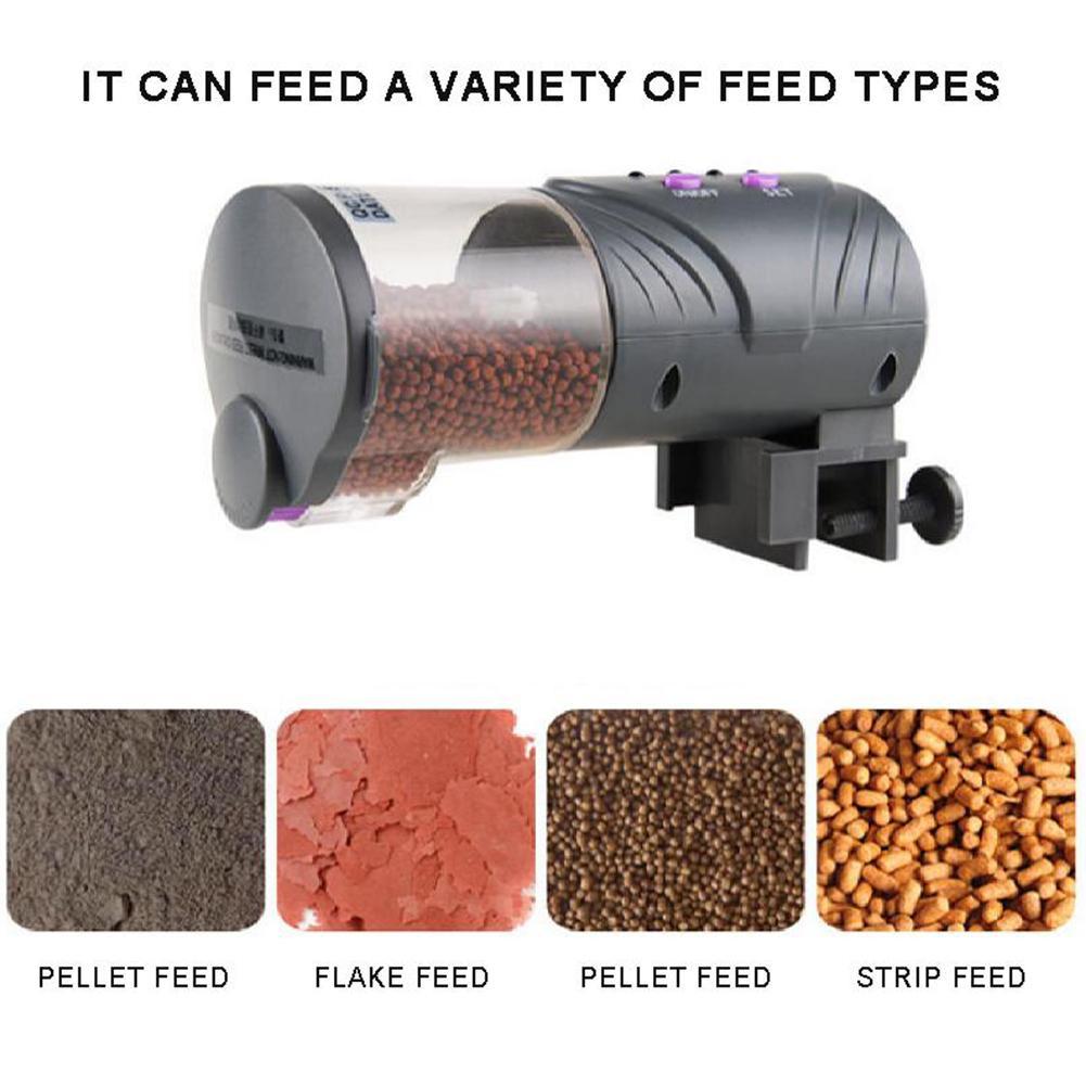 fish feeder for tank