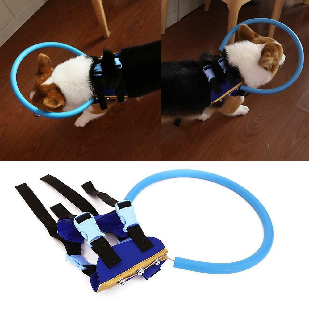 Blind Dog Harness Vest Blind Dogs Vest Ring for Dogs with Sick Eye Pet Size T1Y5 eBay