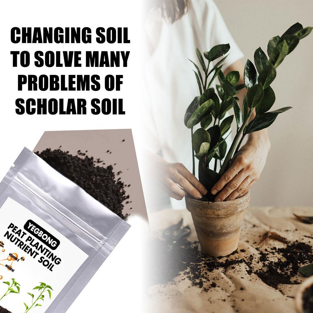 Nutrition Soil Fertilizer Soil Help Plants Stay Green And