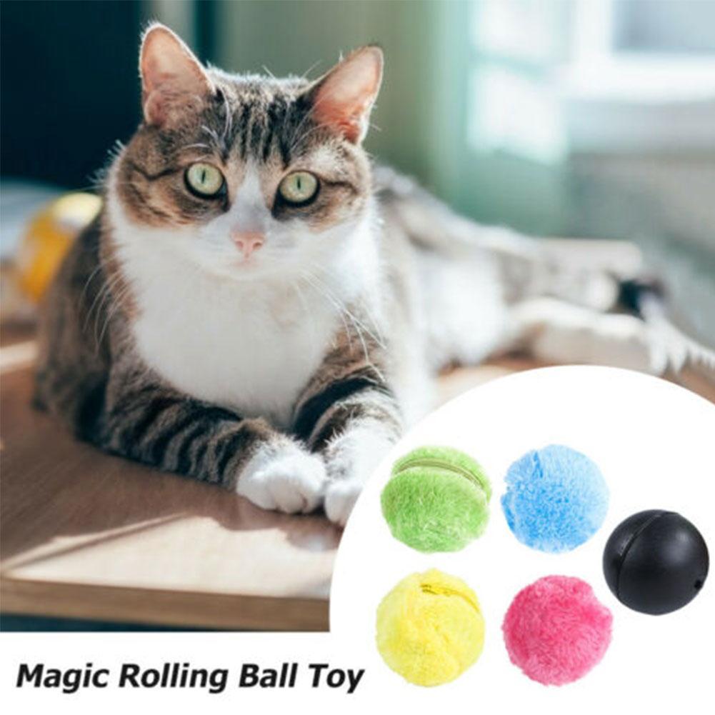 magic rolling ball for cats