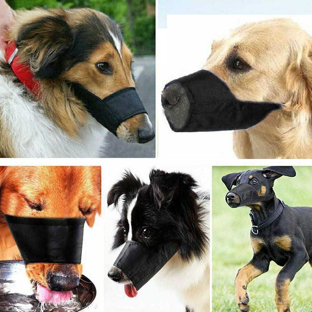 dog muzzle target