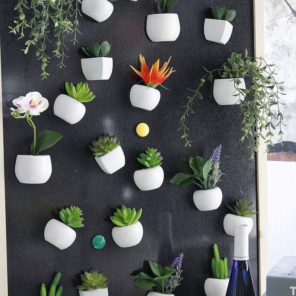 Magnetic Vaso Con Bonsai Piante succulente D'ARIA MAGNETE per frigorifero Multi Colore 