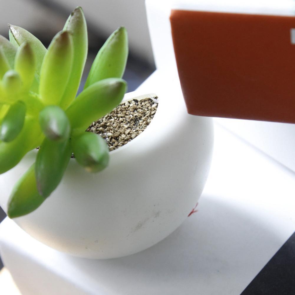 Details about   Artificial Green Succulent Plants Bonsai Fridge Chalkboard Magnetic A0L5 