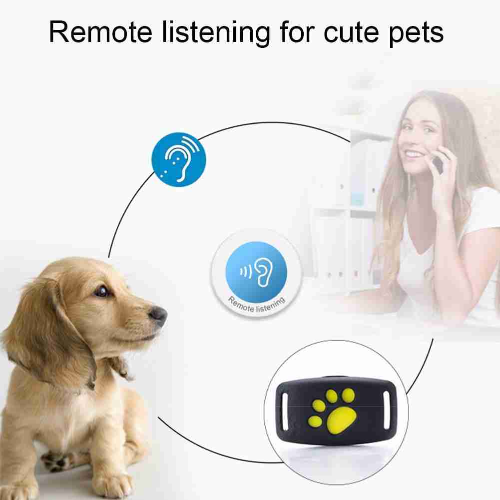dog locator device