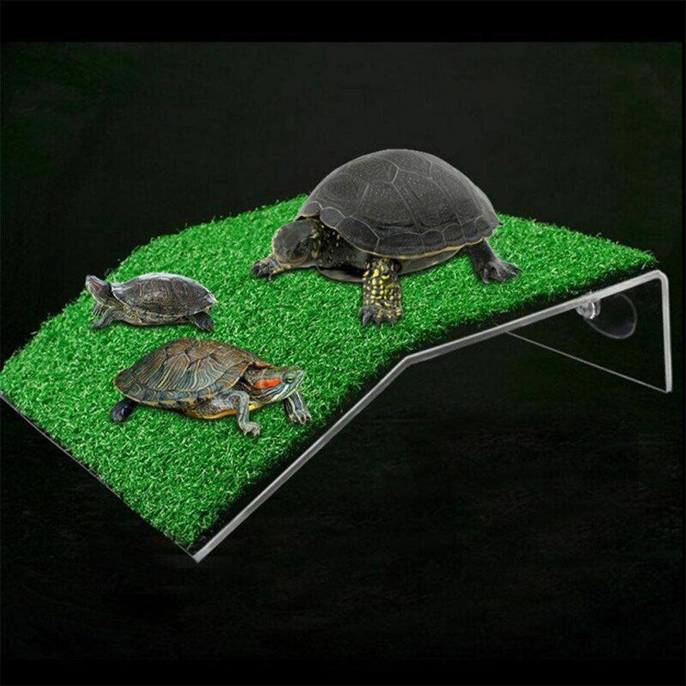 thumbnail image 4 of Ruifaya Plataforma para descansar tortugas Acuario Rampa para acuario Terraza para descansar reptiles, 4 of 7