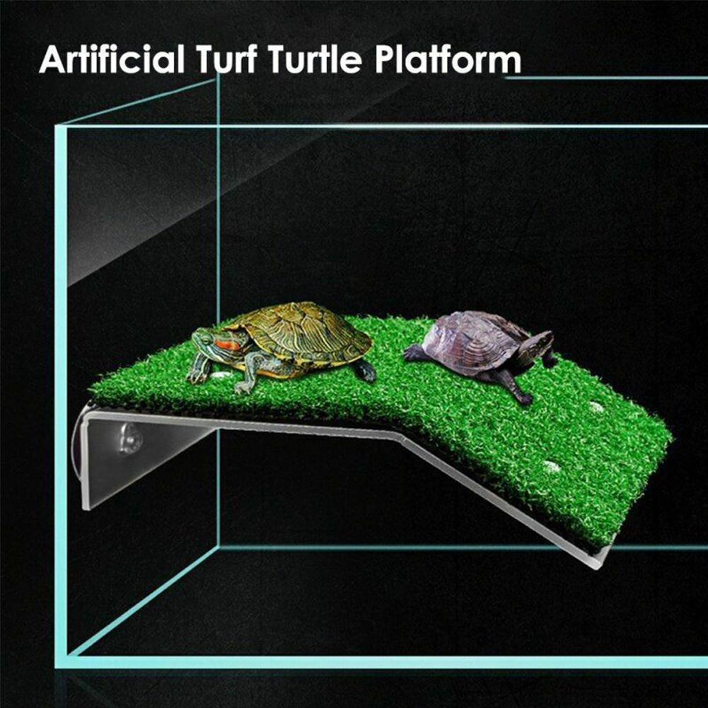 thumbnail image 3 of Ruifaya Plataforma para descansar tortugas Acuario Rampa para acuario Terraza para descansar reptiles, 3 of 7