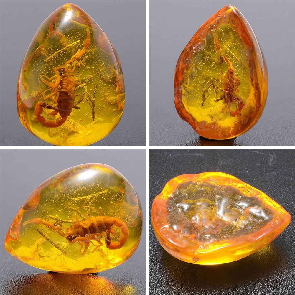 Da Jin Po Zhen Insect Baltic Amber Resin Pendant Necklace Antique Jewelry  Gift