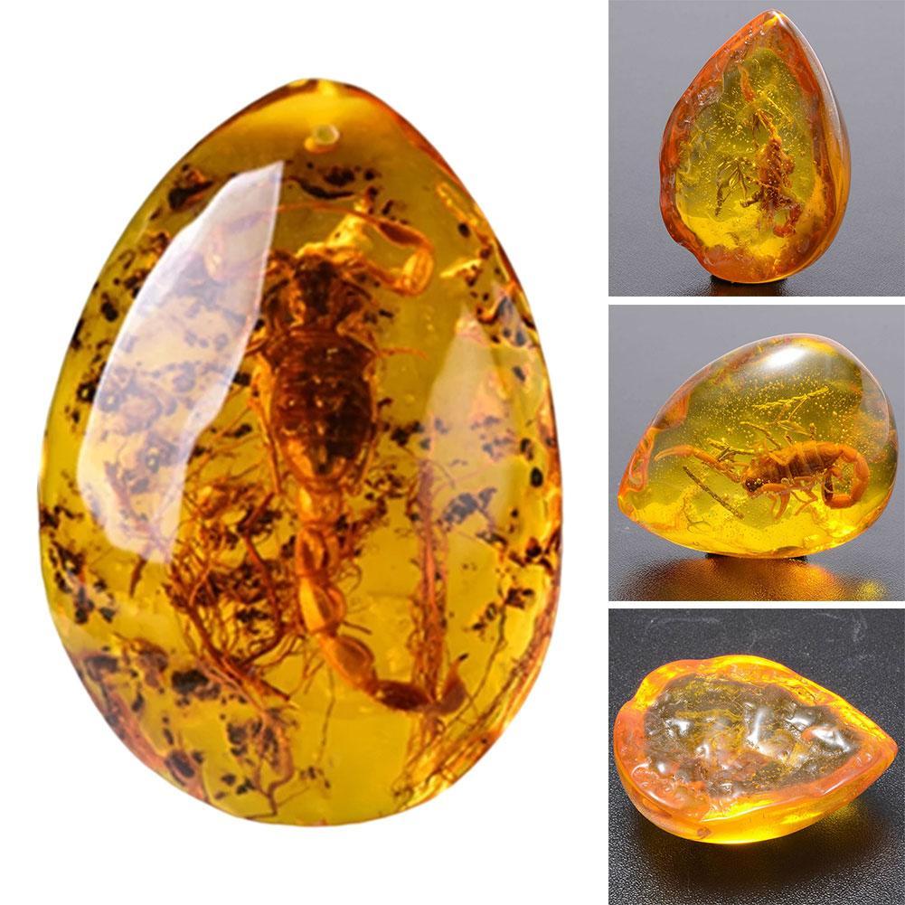 Real Scorpion Insect Amber Resin cabochon Amulet Home Decor fridge