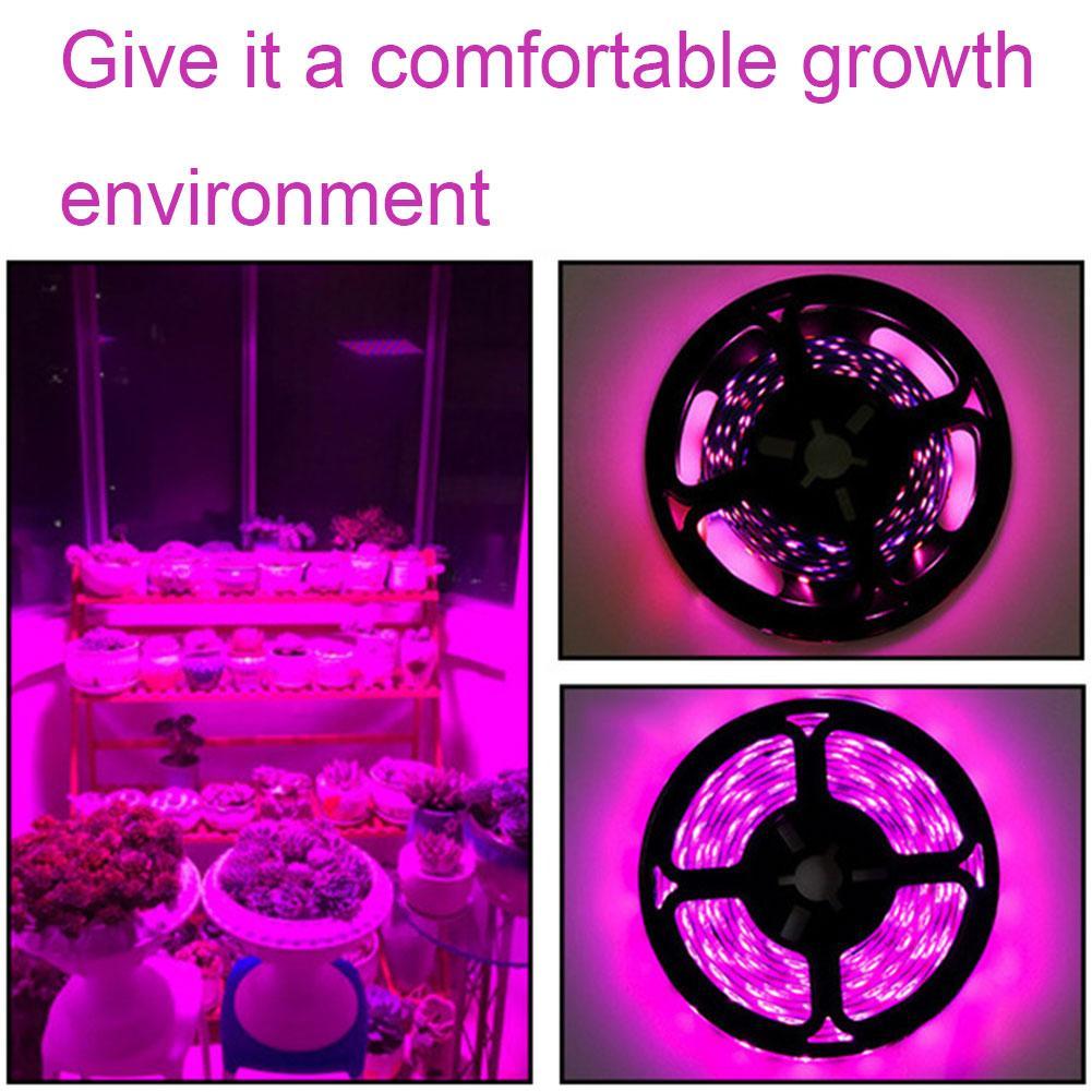 thumbnail image 3 of SGACAI Tira de luz LED para cultivo de plantas Ruifaya, luz para cultivo de plantas de interior, tira de luz LED de espectro completo USB resistente al agua para cultivo de plantas en invernaderos,, 3 of 7