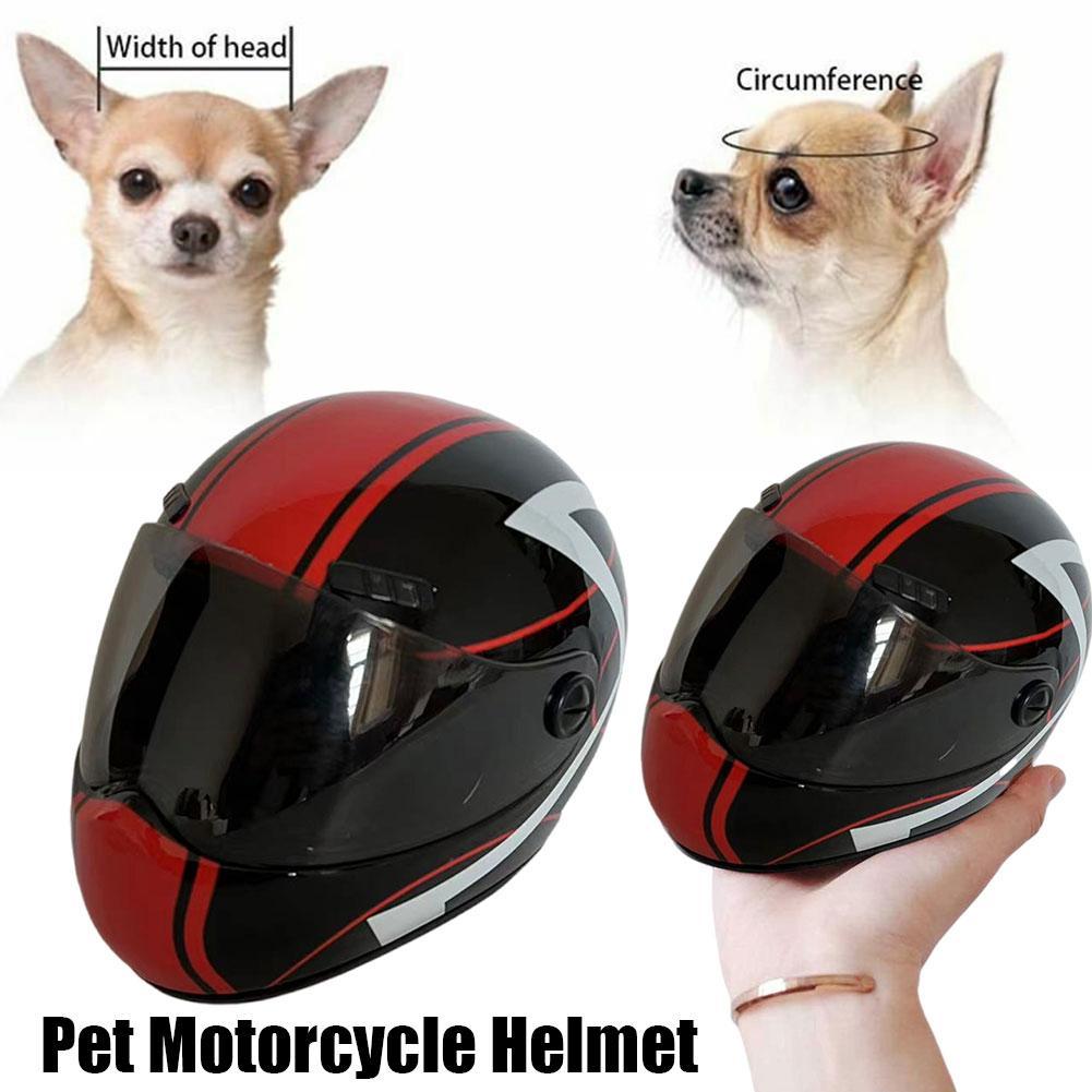 chihuahua full face motorcycle helmet Chihuahua Motorcycle Helmet Paco, The Motorcycling Chihuahua Is Gaining  Fame On Social Media