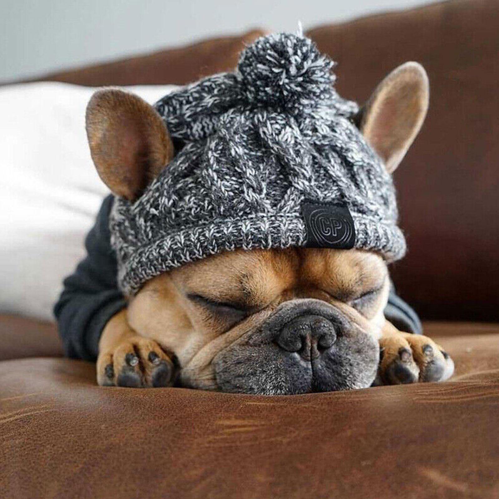 thumbnail image 2 of SGACAI Gorro de invierno para perro, gorro para perro bulldog francés, cálido y resistente al viento, para exteriores, 2 of 7