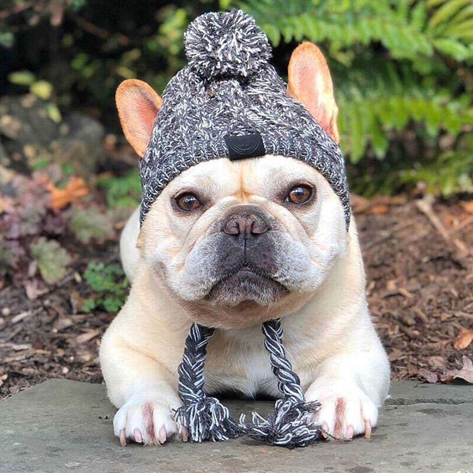 thumbnail image 4 of SGACAI Gorro de invierno para perro, gorro para perro bulldog francés, cálido y resistente al viento, para exteriores, 4 of 7