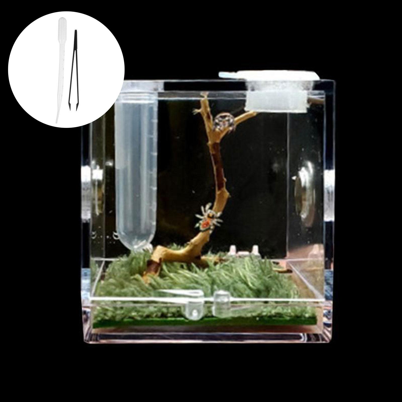 thumbnail image 3 of Ruifaya Jaula de acrílico para cría de arañas saltadoras, hábitat para arañas, insectos >ε ψэ μ, 3 of 7
