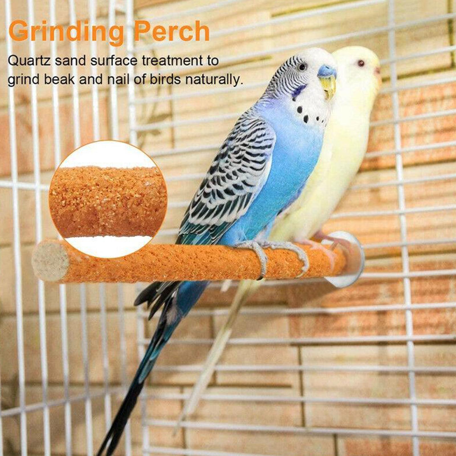 thumbnail image 3 of Ruifaya Soporte para pata de loro de UKQuartz, soporte para moler, rama para pájaros, estante para periquitos, juguete para masticar, 3 of 7