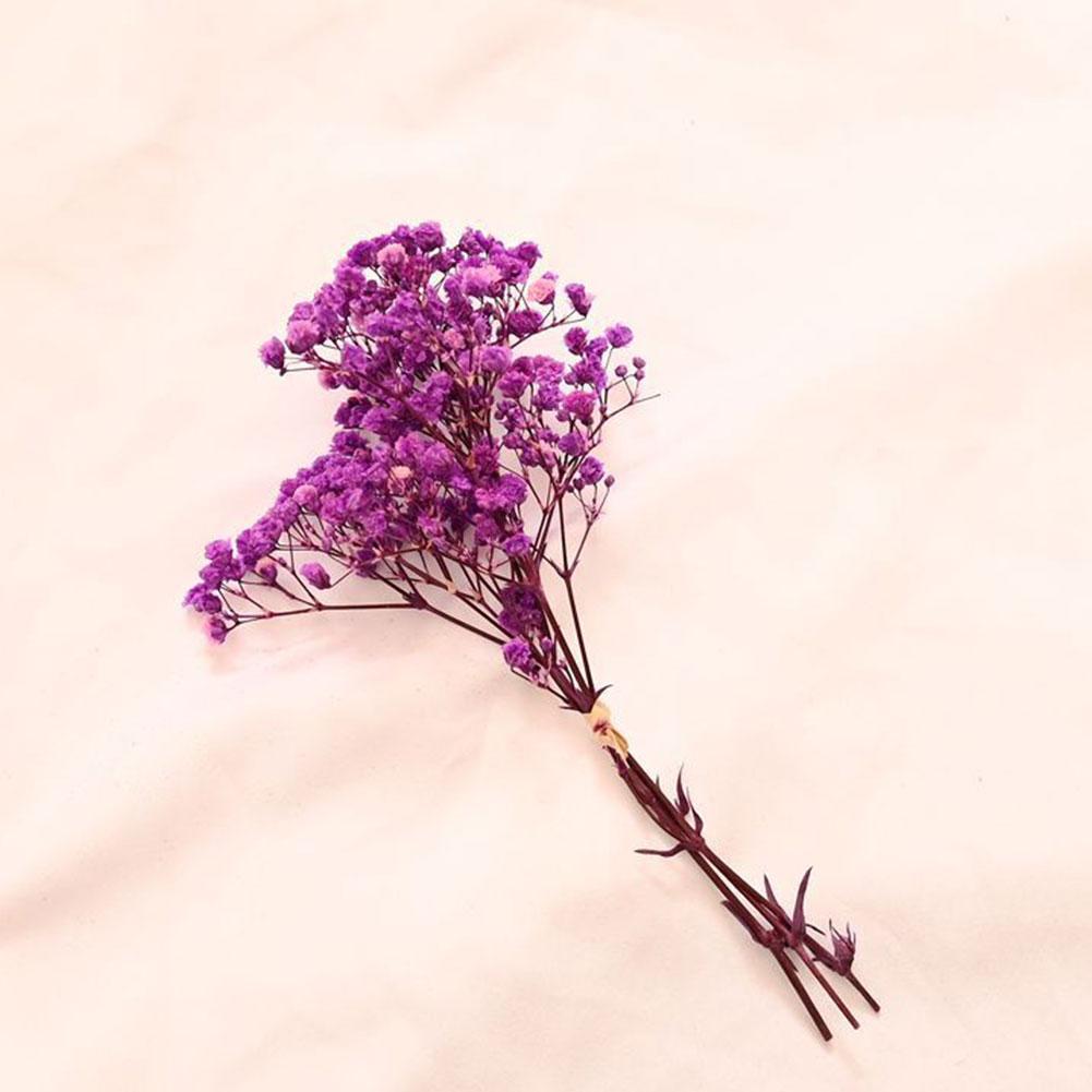 thumbnail image 5 of SGACAI Flores secas de algodón natural Babysbreath Mini Babysbreath frescas K1, 5 of 7