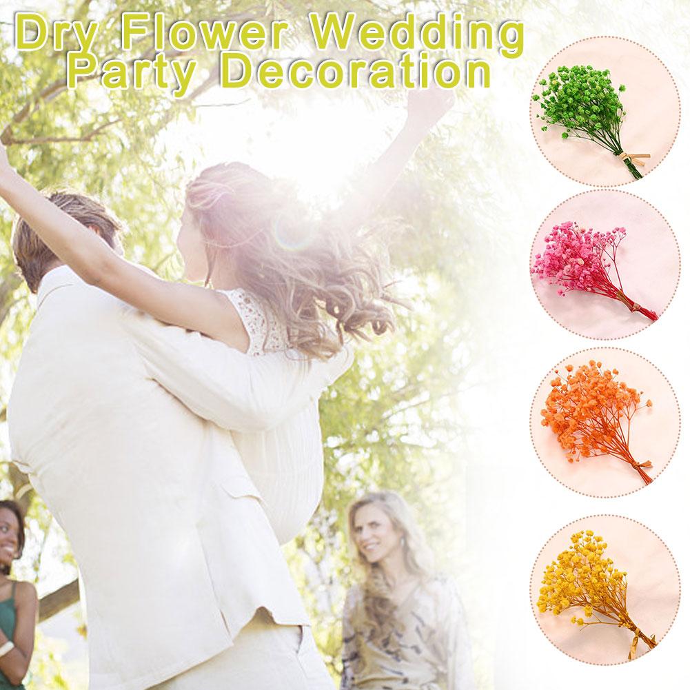 thumbnail image 4 of SGACAI Flores secas de algodón natural Babysbreath Mini Babysbreath frescas K1, 4 of 7