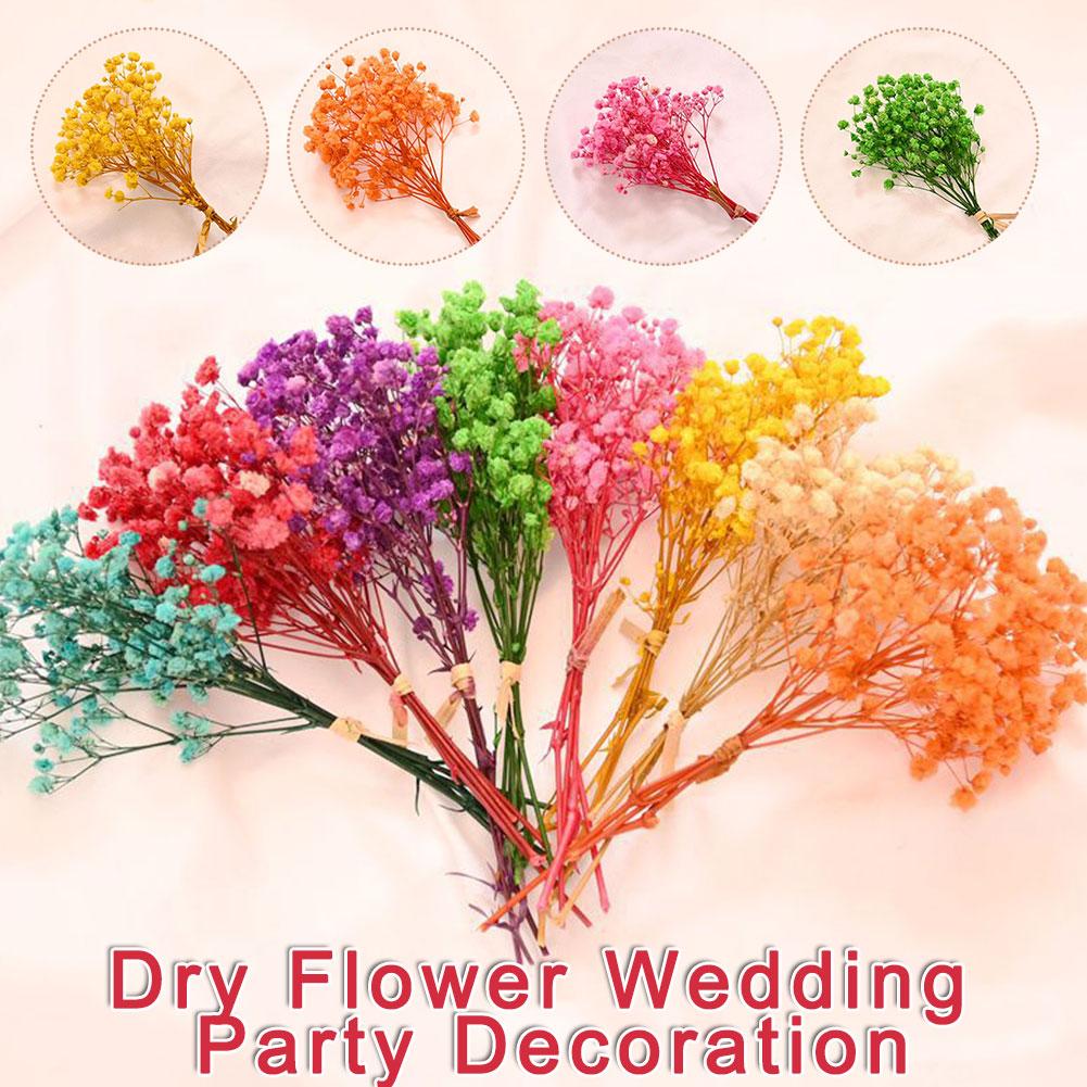 thumbnail image 3 of SGACAI Flores secas de algodón natural Babysbreath Mini Babysbreath frescas K1, 3 of 7