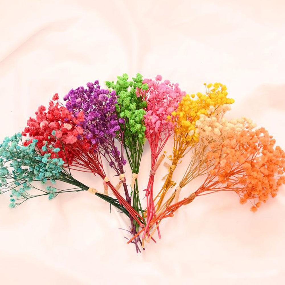 thumbnail image 2 of SGACAI Flores secas de algodón natural Babysbreath Mini Babysbreath frescas K1, 2 of 7