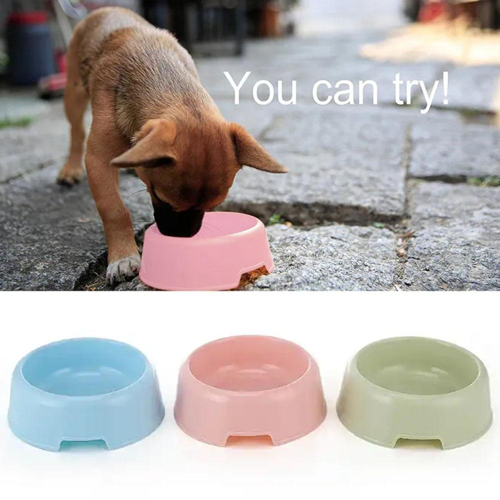 thumbnail image 2 of Wartleves Cuenco de plástico colorido para comida de mascotas para cachorros y gatitos Lote I5, 2 of 7