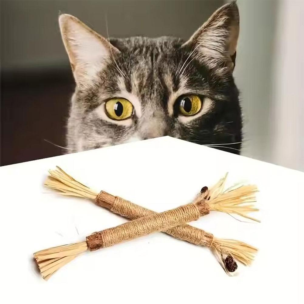 thumbnail image 2 of SGACAI Natürliches Katzenminze-Kauspielzeug für Kätzchen, Zahnreinigung, X3S8 US, 2 of 7