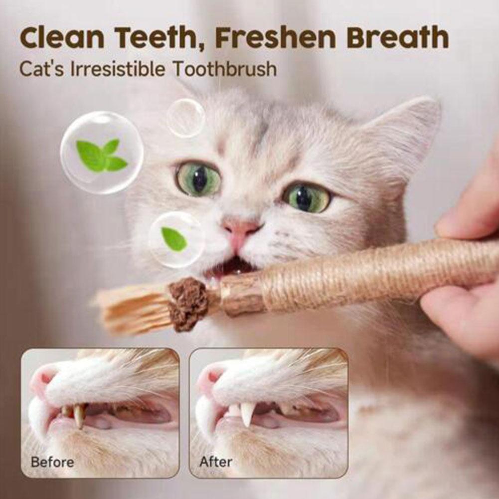 thumbnail image 3 of SGACAI Natürliches Katzenminze-Kauspielzeug für Kätzchen, Zahnreinigung, X3S8 US, 3 of 7