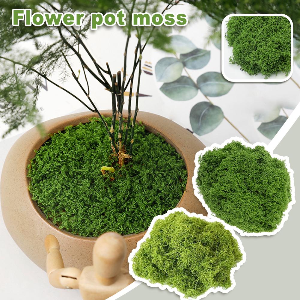 thumbnail image 3 of Wartleves Planta artificial de musgo para bricolaje, micropaisaje de flores de plástico falsas para jardín, 3 of 7