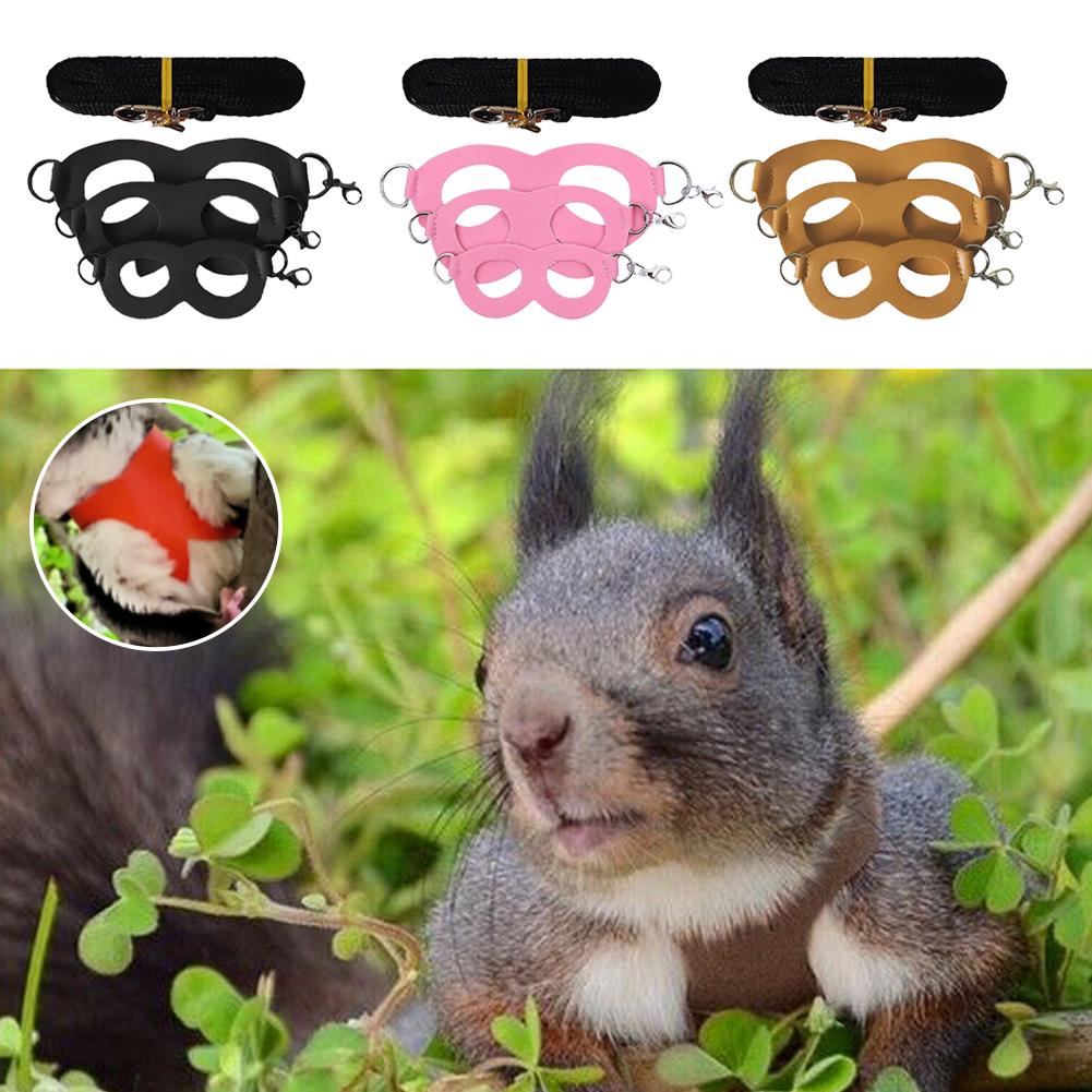 thumbnail image 4 of Wartleves Cuerda de tracción para mascotas, cuerda antiescape y antimordedura para hámster, cuerda especial antipérdida, 4 of 7