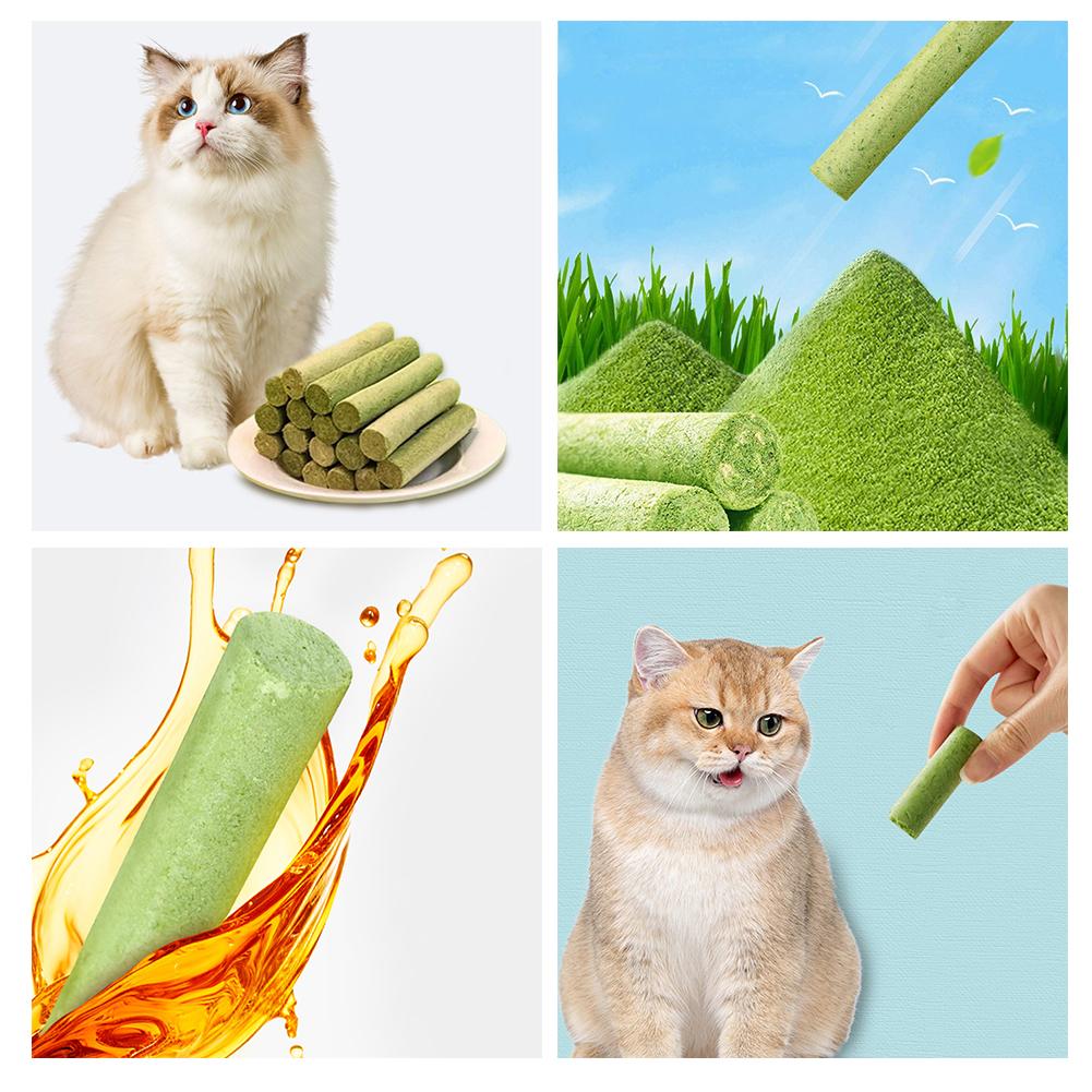 thumbnail image 3 of Wartleves 10-100x Palitos de hierba para gatos Snacks para mascotas Comida para gatos de todas las edades Limpieza de dientes, 3 of 7