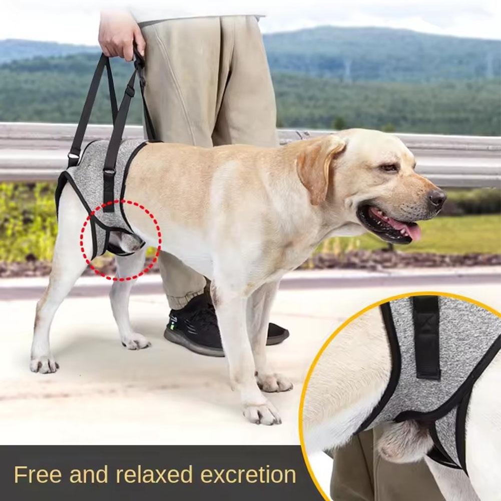 thumbnail image 2 of SGACAI Correa de asistencia para perros grandes, suave, acolchada, ajustable, para la parte trasera de la pata, Niza W2, 2 of 7