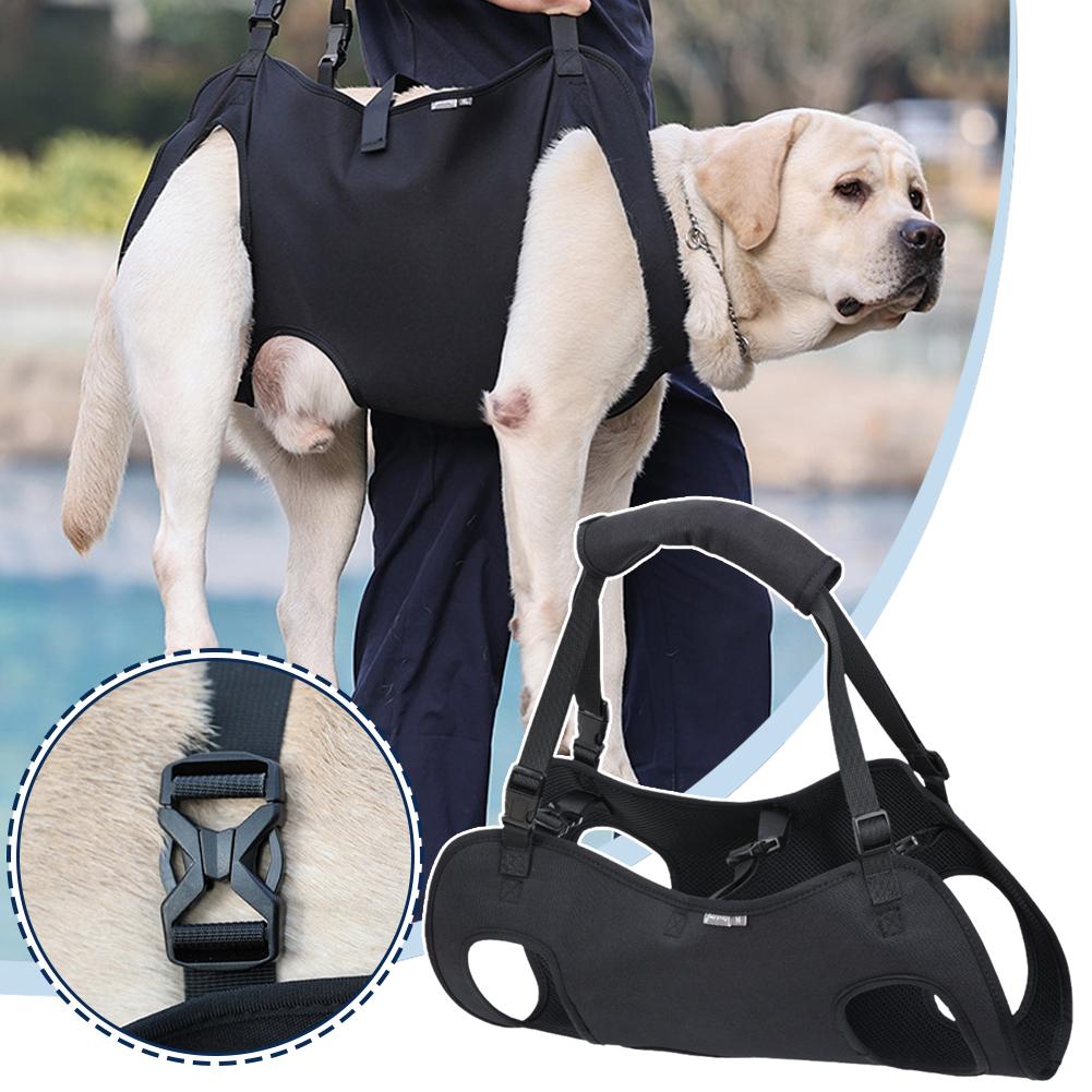thumbnail image 2 of Ruifaya 1x Arnés de apoyo para perros mayores que ayuda a los perros discapacitados a subir y bajar escaleras, 2 of 7