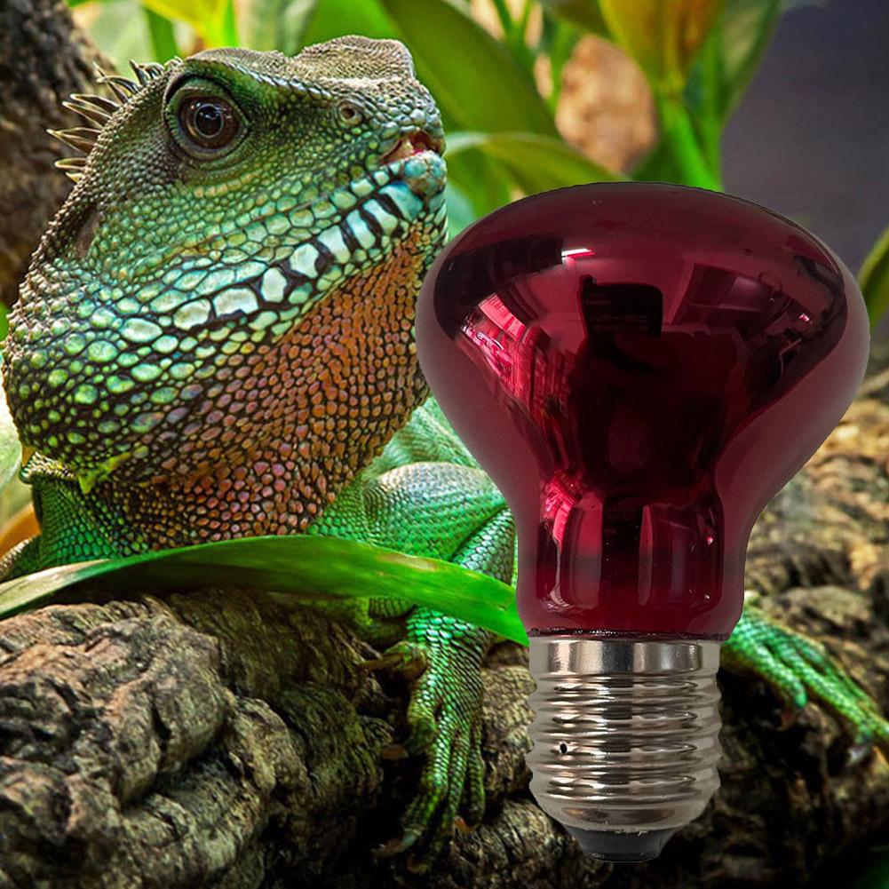 thumbnail image 4 of SGACAI Lámpara de calor solar infrarroja para reptiles (E27) Bombilla CALIENTE = Luz, 4 of 7