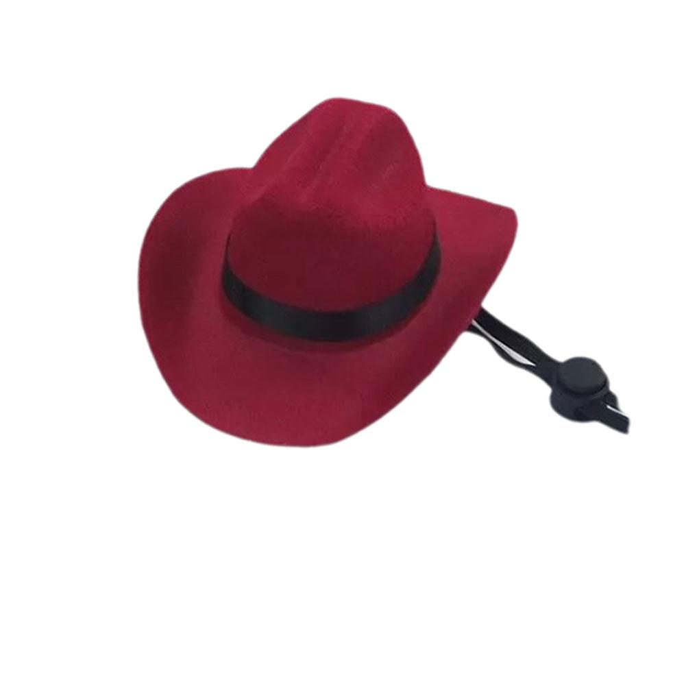 thumbnail image 5 of Ruifaya Sombrero de vaquero ajustable para mascotas, para perros y gatos, sombrero de vaquero para cachorros, disfraz para mascotas, NUEVO, 5 of 7