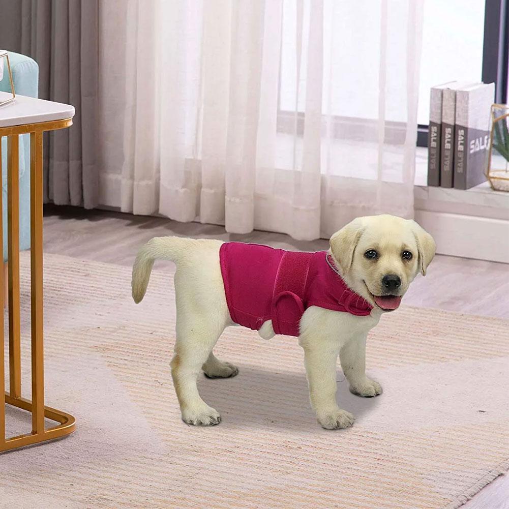 thumbnail image 2 of Ruifaya DTREELS Ropa cómoda para mascotas Chaleco ajustable para aliviar la ansiedad por separación del perro, suave y elástico E2S3, 2 of 7