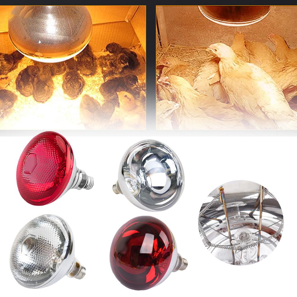 thumbnail image 3 of Ruifaya LÁMPARA DE CALOR INFRARROJOS 250W Criadora de pollos, corderos, ganado, venta, decoración, 3 of 7