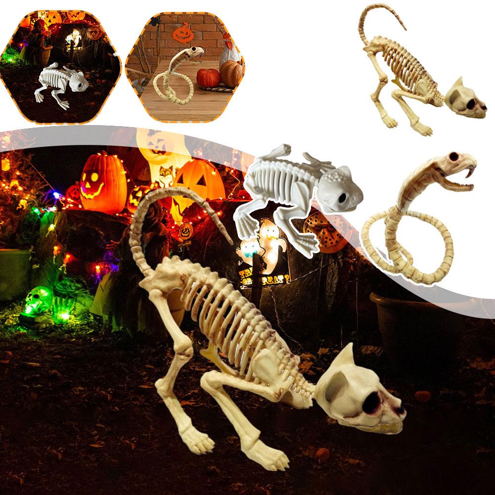 thumbnail image 3 of SGACAI Decoración de Halloween con esqueletos de animales de Fgbetcv, decoraciones de Halloween con esqueletos de serpiente, decoraciones de esqueletos de animales de Halloween, esqueletos de anima, 3 of 7